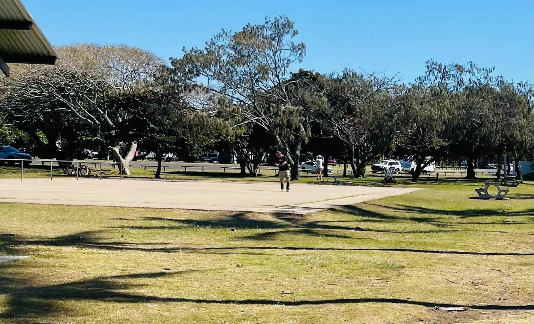 Bargarabeachdogfriendly Bargara